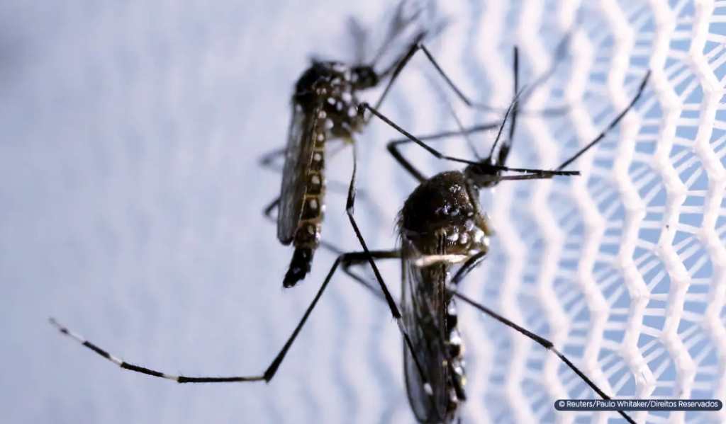 O Brasil registrou novo recorde de mortes por dengue em 2024, mais de 2.197 confirmadas e outras 2.276 ainda em investigação, superando todas as marcas de 2000 para cá. Fonte: Portal CNM