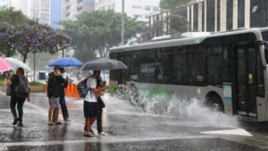 Até abril, o investimento da Prefeitura de São Paulo em ações contra enchentes em 2024 foi de R$ 228 milhões; na imagem, ônibus passa por poça de água no canteiro da av. Paulista, na capital paulista... Leia mais no texto original: (https://www.poder360.com.br/infraestrutura/investimentos-contra-enchentes-batem-recorde-na-cidade-de-sp-5/) © 2024 Todos os direitos são reservados ao Poder360, conforme a Lei nº 9.610/98. A publicação, redistribuição, transmissão e reescrita sem autorização prévia são proibidas. Fonte: Poder 360°