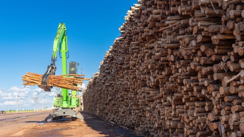 A Eldorado Brasil atingiu um recorde de produção de celulose no ano passado: 1,78 milhão de tonelada. Fonte: PODER 360°