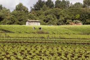 Proagro é uma garantia da atividade agropecuária de pequeno porte. José Fernando Ogura/Agência de Notícias do Paraná Fonte: Agência Câmara de Notícias Fonte: Agência Câmara de Notícias