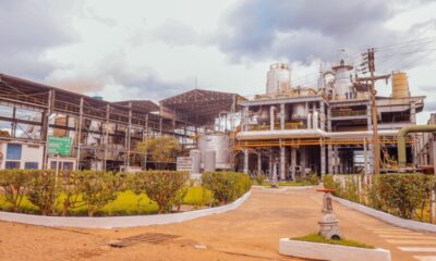 Fonte: Revista RPAnews