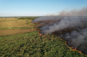 O Pantanal enfrenta a seca mais grave em 70 anos. Governo de Mato Grosso do Sul. Fonte: Agência Câmara de Notícias