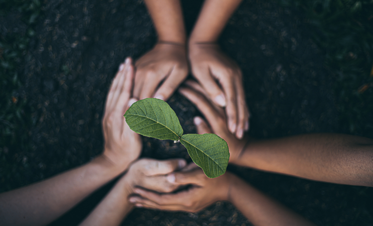 Decreto institui a Política Nacional de Conservação e Uso Sustentável dos Recursos Genéticos para a Alimentação, a Agricultura e a Pecuária. Fonte: Gov.br