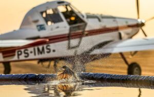 Pássaro mergulha em tanque que abastece aeronave despeja águia sobre os incêndios. Fonte: Agência Gov